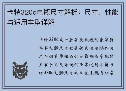 卡特320d电瓶尺寸解析：尺寸、性能与适用车型详解